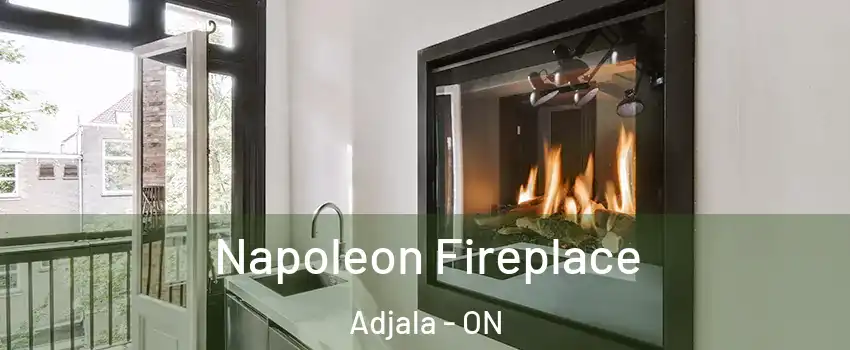  Napoleon Fireplace Adjala - ON