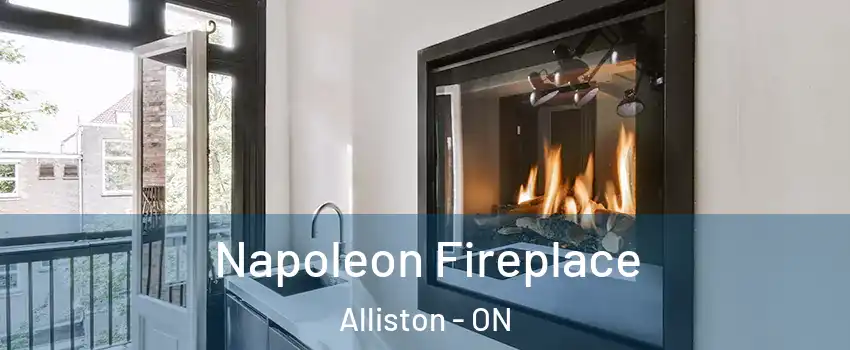  Napoleon Fireplace Alliston - ON