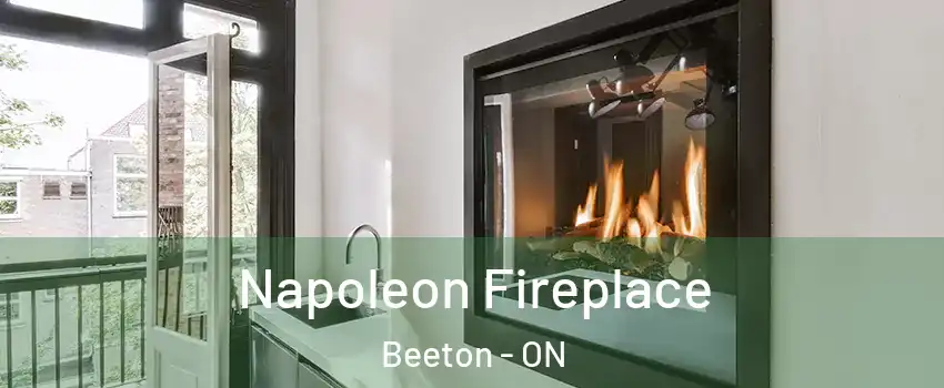 Napoleon Fireplace Beeton - ON