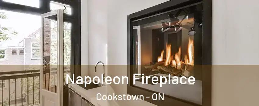  Napoleon Fireplace Cookstown - ON