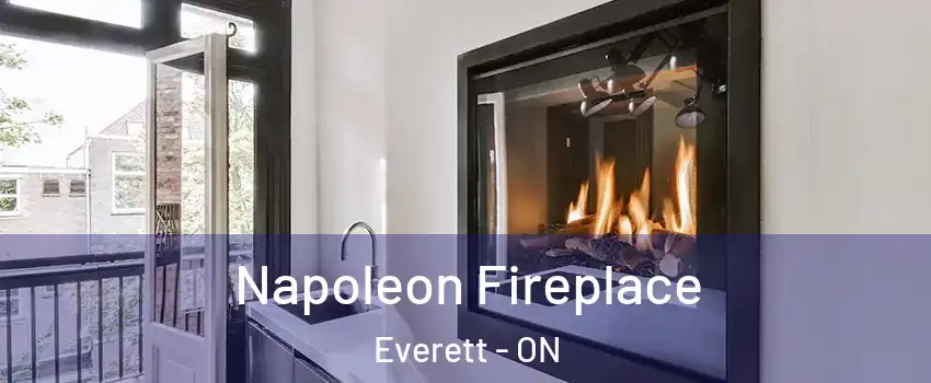  Napoleon Fireplace Everett - ON