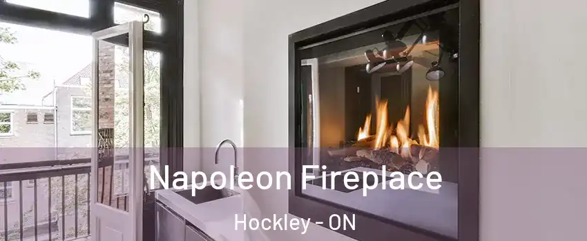  Napoleon Fireplace Hockley - ON