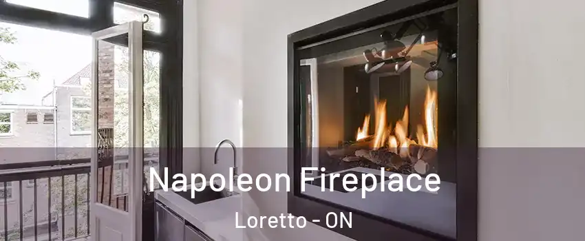  Napoleon Fireplace Loretto - ON