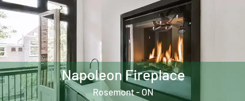  Napoleon Fireplace Rosemont - ON