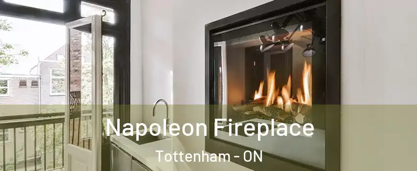  Napoleon Fireplace Tottenham - ON