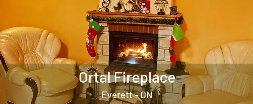  Ortal Fireplace Everett - ON