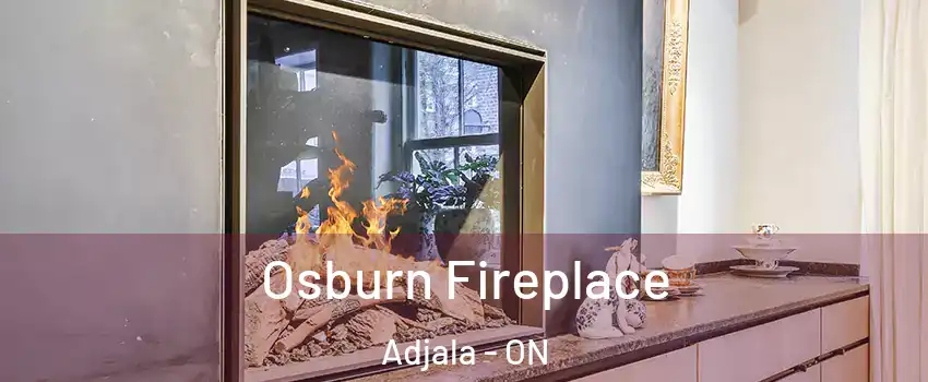  Osburn Fireplace Adjala - ON