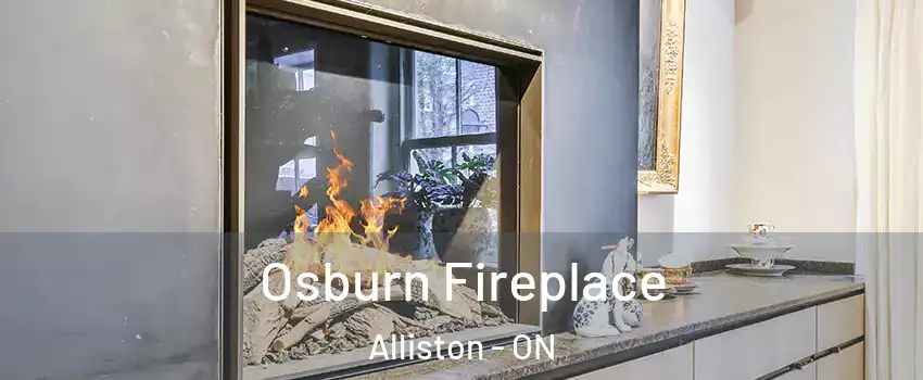  Osburn Fireplace Alliston - ON