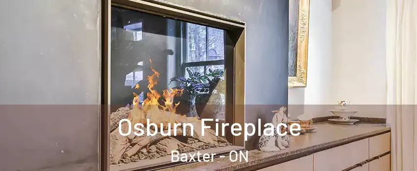  Osburn Fireplace Baxter - ON