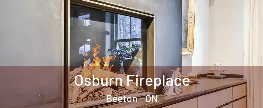  Osburn Fireplace Beeton - ON
