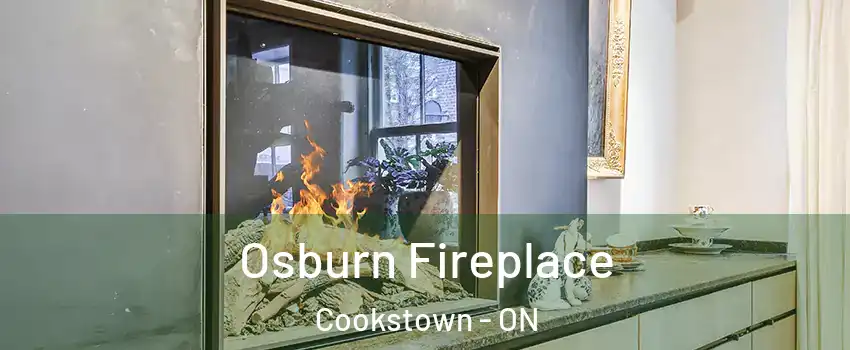  Osburn Fireplace Cookstown - ON