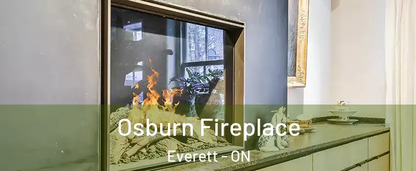  Osburn Fireplace Everett - ON
