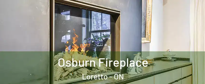  Osburn Fireplace Loretto - ON