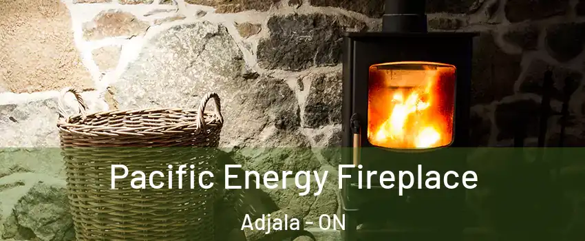  Pacific Energy Fireplace Adjala - ON