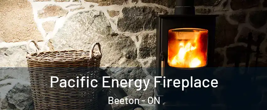  Pacific Energy Fireplace Beeton - ON