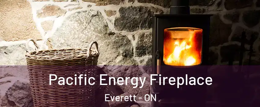  Pacific Energy Fireplace Everett - ON