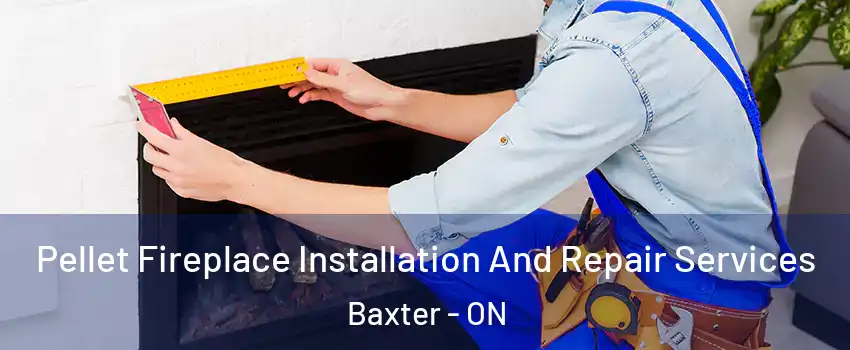  Pellet Fireplace Installation And Repair Services Baxter - ON