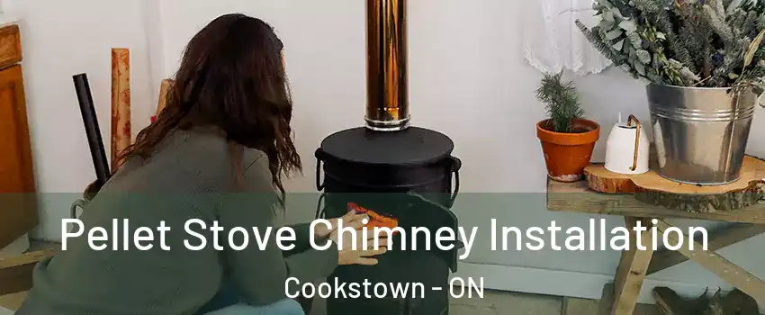  Pellet Stove Chimney Installation Cookstown - ON
