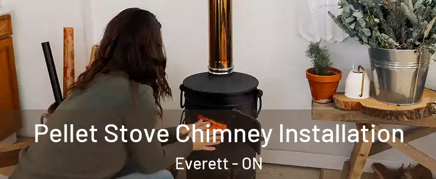  Pellet Stove Chimney Installation Everett - ON