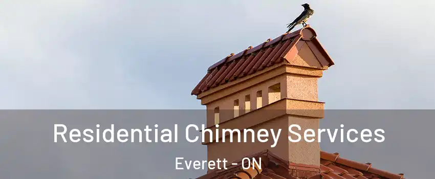  Residential Chimney Services Everett - ON