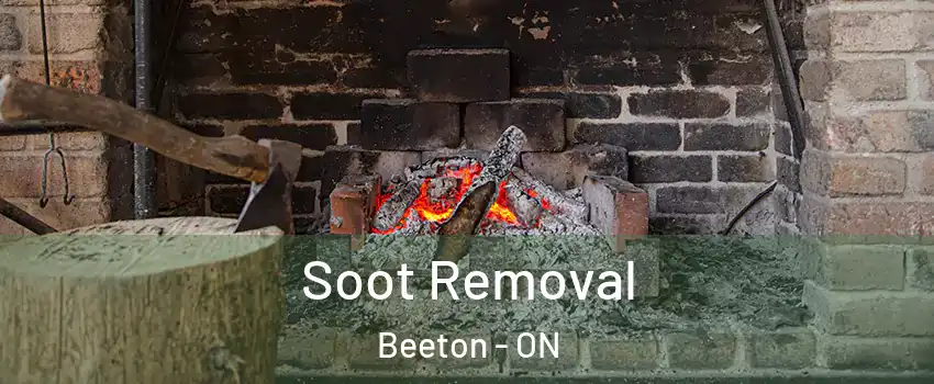  Soot Removal Beeton - ON