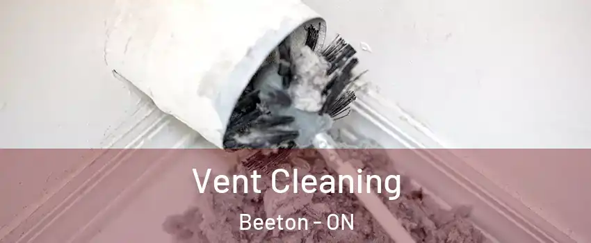  Vent Cleaning Beeton - ON