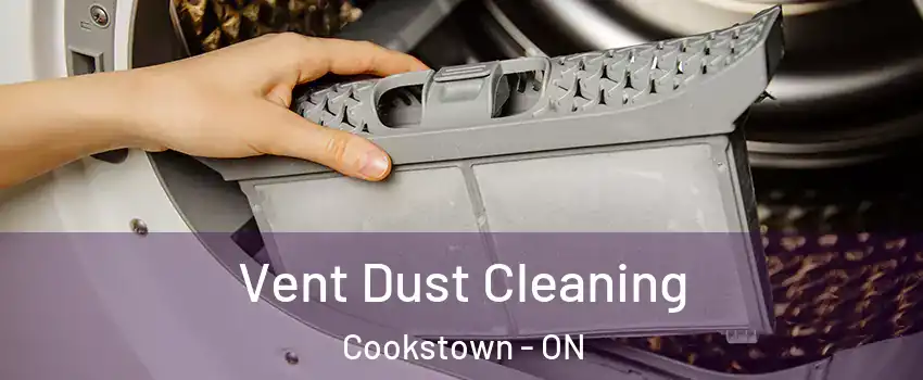  Vent Dust Cleaning Cookstown - ON