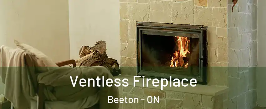 Ventless Fireplace Beeton - ON