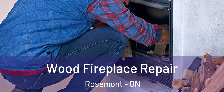  Wood Fireplace Repair Rosemont - ON