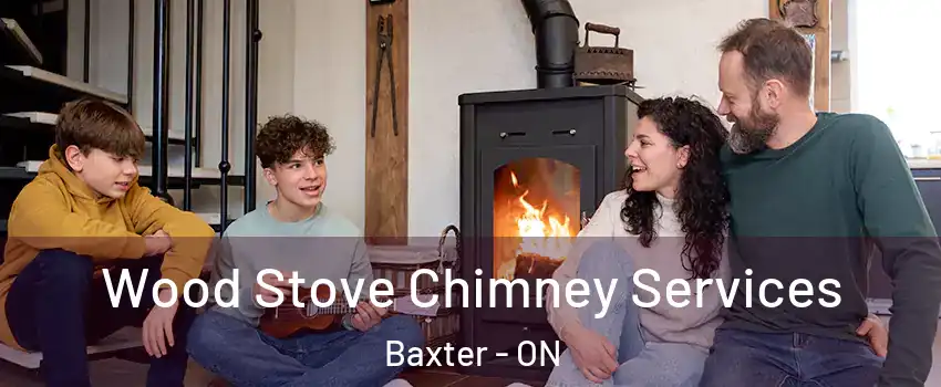  Wood Stove Chimney Services Baxter - ON