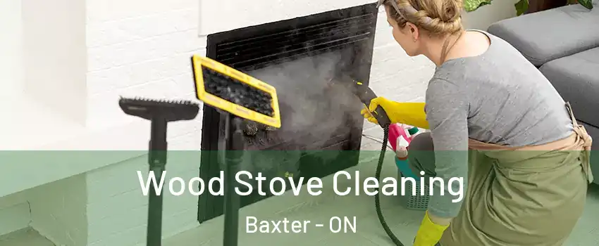  Wood Stove Cleaning Baxter - ON