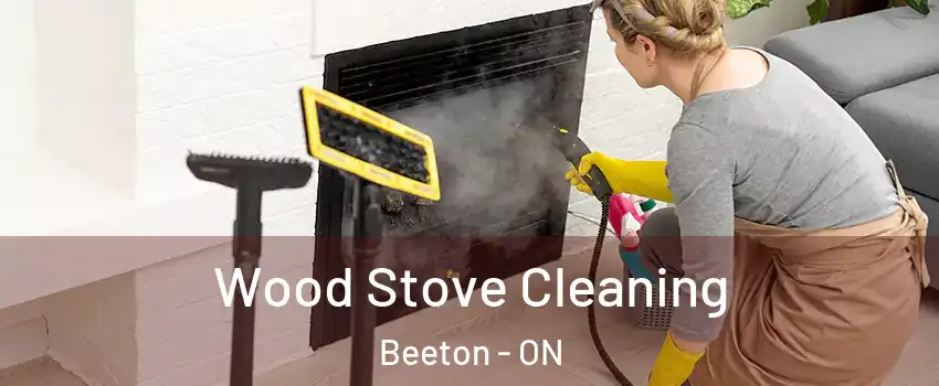  Wood Stove Cleaning Beeton - ON