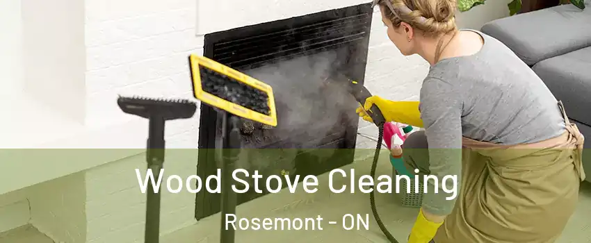  Wood Stove Cleaning Rosemont - ON